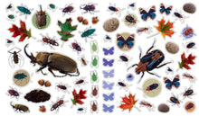 Load image into Gallery viewer, Eyelike Stickers: Bugs: Trade Paperback