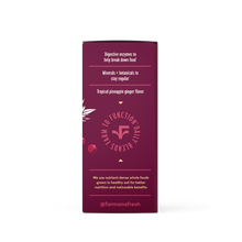 Load image into Gallery viewer, Digest + Debloat - Functional Superfood Digestion Blend: 12 stick packs