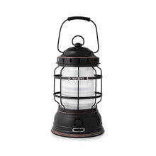 Load image into Gallery viewer, Forest Lantern - Antique Bronze: Vintage White