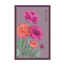 Load image into Gallery viewer, Shido Seeds: Ranunculus Flower Seeds Packet - Plant Seeds, Art Floral, Flower Food