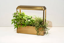 Load image into Gallery viewer, Smart Growhouse - Brass