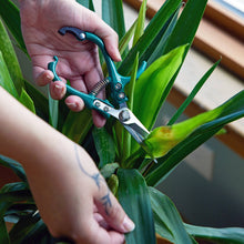 Load image into Gallery viewer, New Colors! Garden Shears : Chartreuse