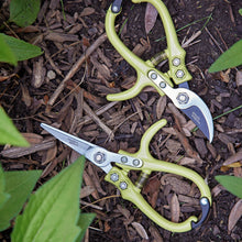 Load image into Gallery viewer, New Colors! Garden Shears : Ocean