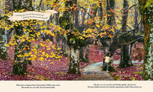 Load image into Gallery viewer, Through the Fairy Door