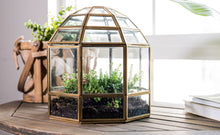 Load image into Gallery viewer, Urban Born Large Terrarium Birdcage, Glass and Metal, 10x9": Brass