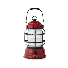 Load image into Gallery viewer, Forest Lantern - Antique Bronze: Vintage White