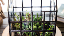 Load image into Gallery viewer, Urban Born Lattice House Terrarium, Glass+Steel, 8"x8"x12"