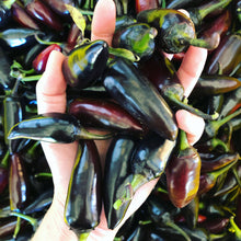 Load image into Gallery viewer, Hot Damn Pepper Jam Spoon Preserves 7.75oz
