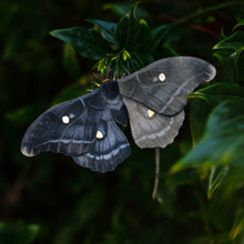 Load image into Gallery viewer, 'Midnight Ghost' Moth Set
