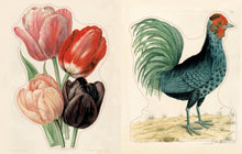 Load image into Gallery viewer, John Derian Sticker Book II: Hardcover
