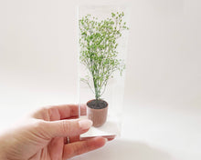 Load image into Gallery viewer, Miniature Potted Plant: Terra Cotta
