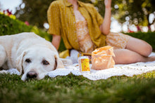 Load image into Gallery viewer, Hosting Bundle Nonalcoholic wine spritz tonic Dry January
