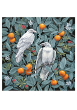 Load image into Gallery viewer, Vasilisa Romanenko: Birds of a Feather Boxed Notecard Assortment
