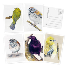 Load image into Gallery viewer, The Backyard Bird Chronicles: 50 Postcards
