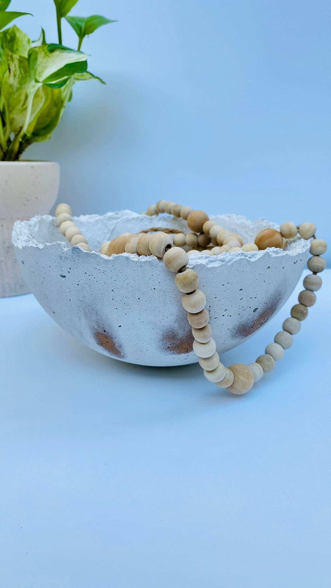 Half Moon Candle | Bowl Candle: White & Gold / Fraser Fir