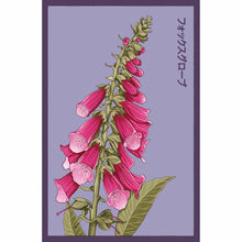 Load image into Gallery viewer, Shido Seeds: Foxglove Flower Seeds Packet - Flower Growing, Plant Care Accessories, Plant Related Gifts
