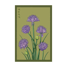 Load image into Gallery viewer, Shido Seeds: Chives Herb Seeds Packet - Herb Garden, Indoor Plant Seeds, Plant Dirt
