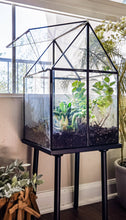 Load image into Gallery viewer, Urban Born Oversize Terrarium Glass+Steel, 11x11x28&quot; (Black)
