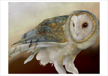 Load image into Gallery viewer, Barn Owls by Jeannine Chappell Boxed Notecard Assortment
