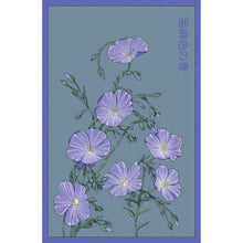 Load image into Gallery viewer, Shido Seeds: Flax Blue Flower Seeds Packet - Flower Pot, Indoor Plant Seeds, Art Floral
