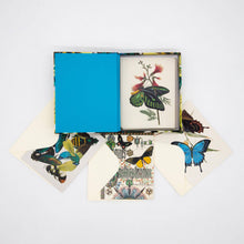 Load image into Gallery viewer, Shimmering Wings
