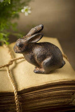Load image into Gallery viewer, Small Cast Iron Rabbit
