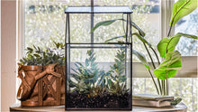Load image into Gallery viewer, Urban Born Oversize Terrarium Glass+Steel, 11x11x28&quot; (Black)
