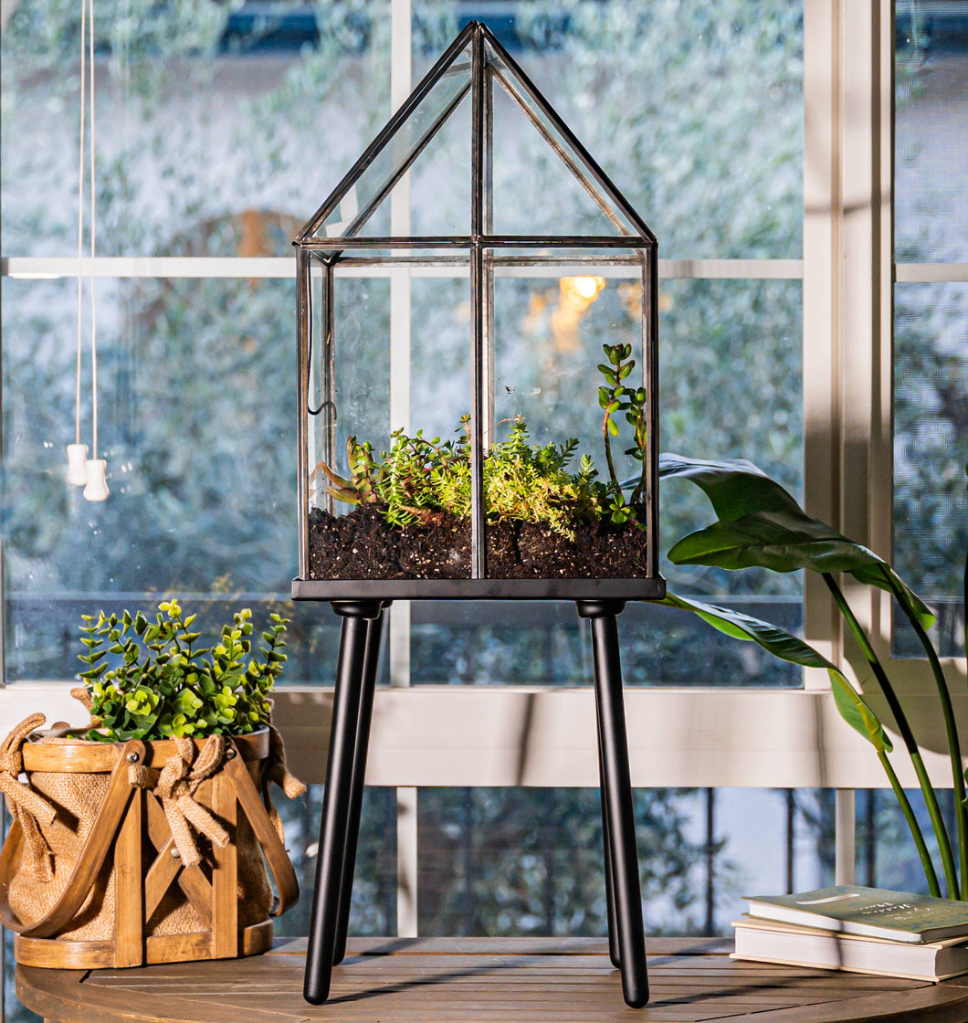 Urban Born Oversize Terrarium Glass+Steel, 11x11x28