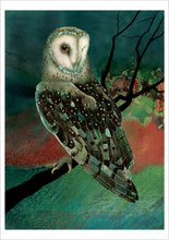 Load image into Gallery viewer, Barn Owls by Jeannine Chappell Boxed Notecard Assortment
