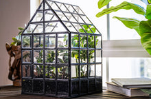 Load image into Gallery viewer, Urban Born Lattice House Terrarium, Glass+Steel, 8&quot;x8&quot;x12&quot;
