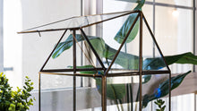 Load image into Gallery viewer, Urban Born Oversize Terrarium Glass+Steel, 11x11x28&quot; (Brass)
