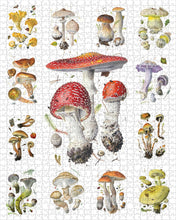 Load image into Gallery viewer, Mushrooms: Alexander Viazmensky 1000-Piece Jigsaw Puzzle
