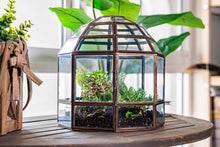 Load image into Gallery viewer, Urban Born Large Terrarium Birdcage, Glass and Metal, 10x9&quot;: Brass
