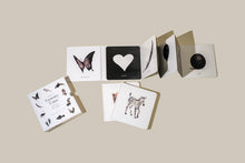 Load image into Gallery viewer, Baby's Tummy Time Book Box Set
