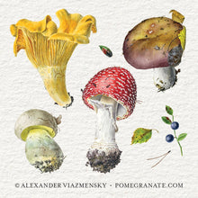 Load image into Gallery viewer, Mushrooms: Alexander Viazmensky Memory Game
