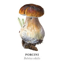 Load image into Gallery viewer, Mushrooms: Alexander Viazmensky Memory Game
