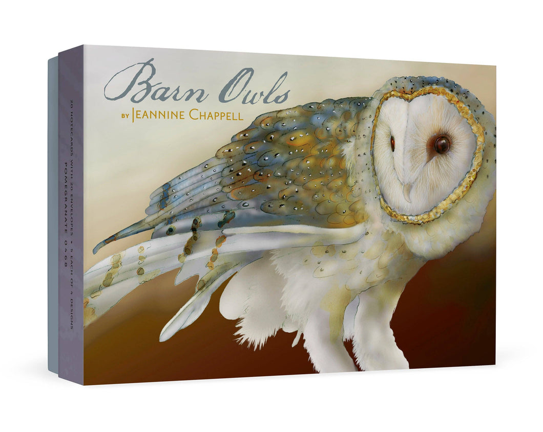 Barn Owls by Jeannine Chappell Boxed Notecard Assortment