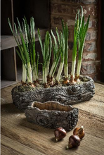 Load image into Gallery viewer, Cement Log Planter
