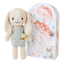 Load image into Gallery viewer, Tiny Henry the bunny, gives 10 meals
