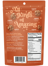 Load image into Gallery viewer, 4oz Superfood Nut Blend - Salted Maple
