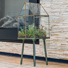 Load image into Gallery viewer, Urban Born Oversize Terrarium Glass+Steel, 11x11x28&quot; (Green)

