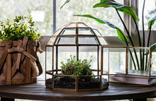 Load image into Gallery viewer, Urban Born Large Terrarium Birdcage, Glass and Metal, 10x9&quot;: Brass
