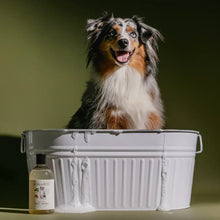 Load image into Gallery viewer, Koala Sweet Marjoram &amp; Rosalina Dog Wash
