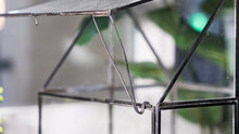 Load image into Gallery viewer, Urban Born Oversize Terrarium Glass+Steel, 11x11x28&quot; (Black)
