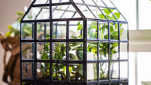 Load image into Gallery viewer, Urban Born Lattice House Terrarium, Glass+Steel, 8&quot;x8&quot;x12&quot;

