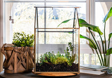 Load image into Gallery viewer, Urban Born Oversize Terrarium Glass+Steel, 11x11x28&quot; (Brass)
