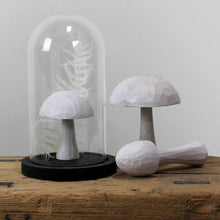 Load image into Gallery viewer, Mushrooms, Wood - Set of 3
