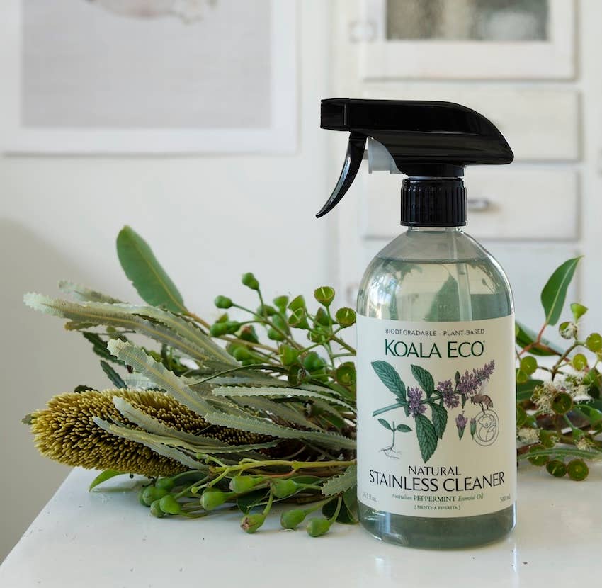 Peppermint Stainless Cleaner – the arbor