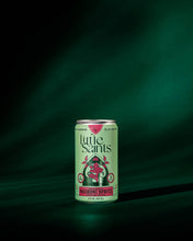 Load image into Gallery viewer, Negroni Spritz
