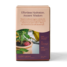 Load image into Gallery viewer, Terracotta Watering Bulb: Sage
